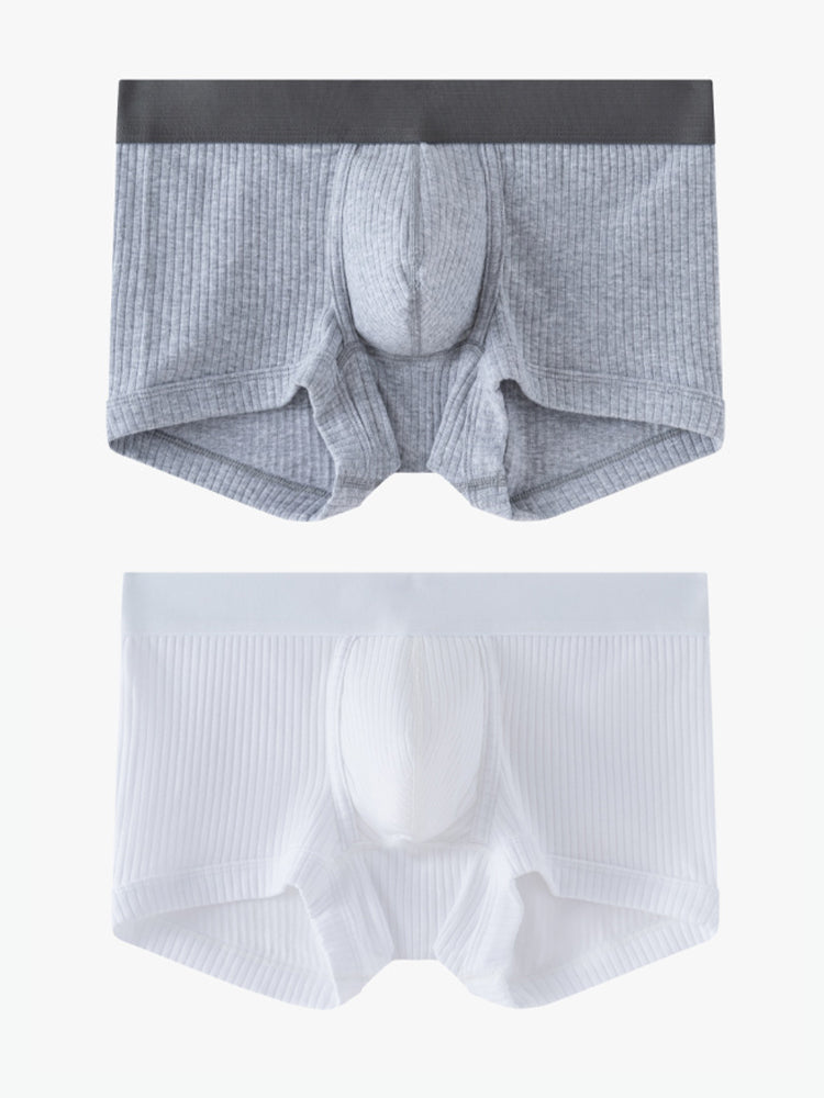2 Pack Men's Ultra-Soft Premium Pure Cotton Comfy Waistband Seamless Trunks