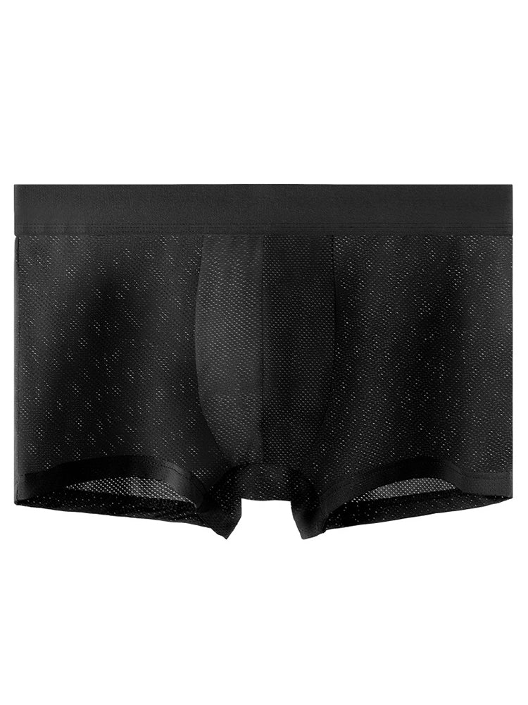 Men's Thin Ultra Breathable Mesh Trunks
