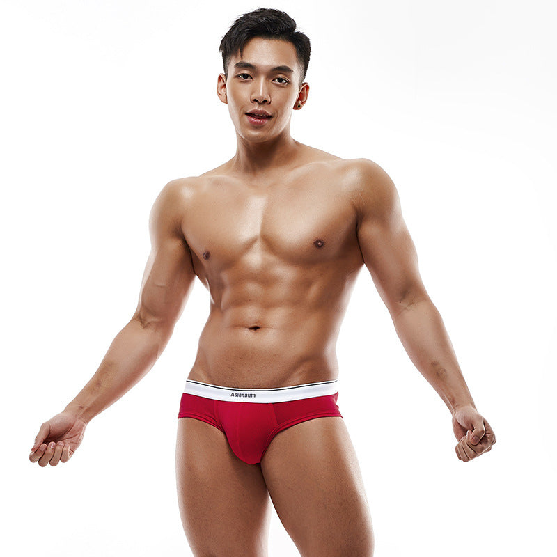 Asianbum Breathable Low Waisted Cotton Men's Briefs