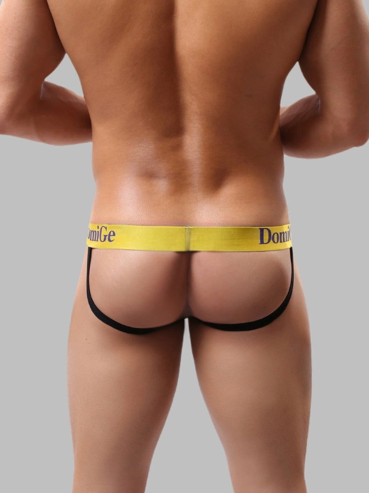 2 Pack Men's Fun Print Breathable Low-Rise Jockstrap