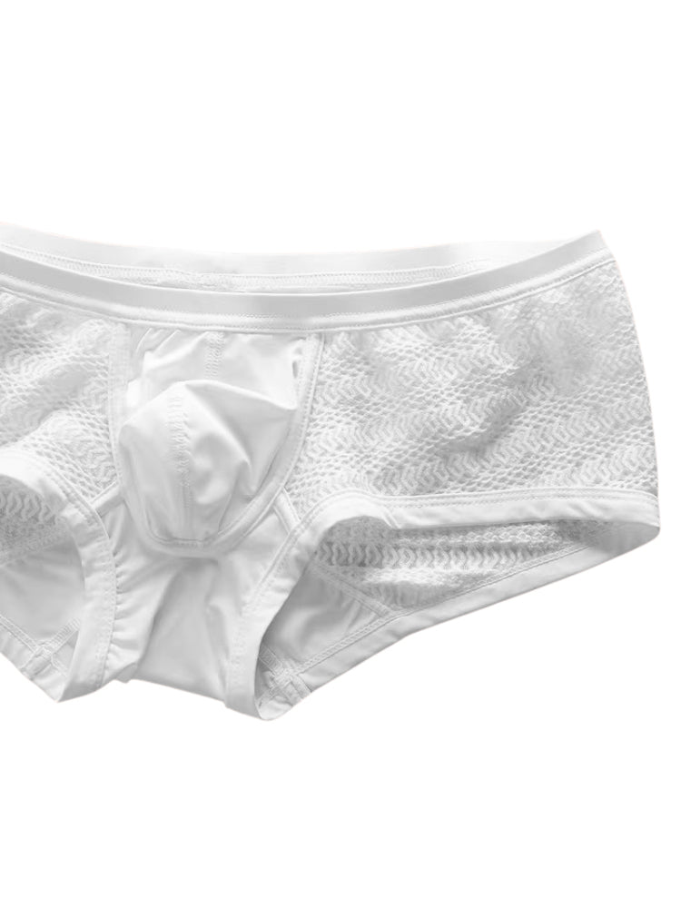 2 Pack Men's Sexy Semi-Sheer Lace Mesh Trunks with Contoured U-Pouch