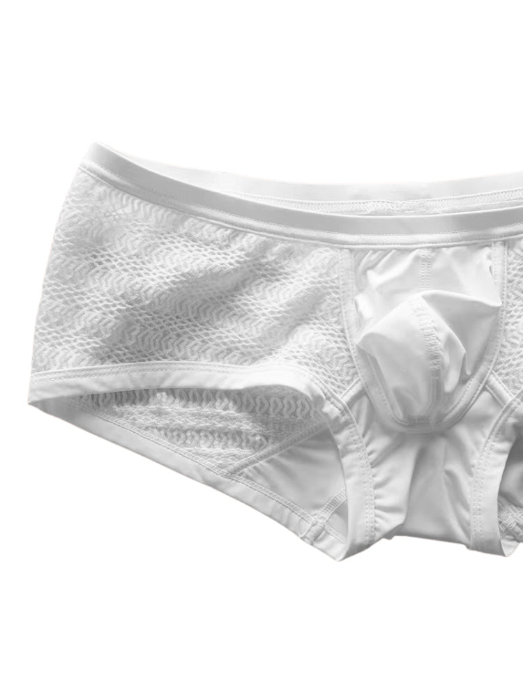 2 Pack Men's Sexy Semi-Sheer Lace Mesh Trunks with Contoured U-Pouch