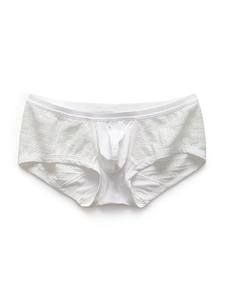 2 Pack Men's Sexy Semi-Sheer Lace Mesh Trunks with Contoured U-Pouch
