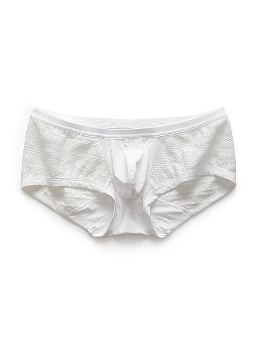 2 Pack Men's Sexy Semi-Sheer Lace Mesh Trunks with Contoured U-Pouch
