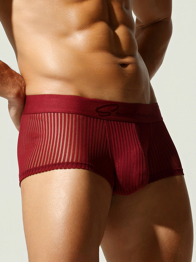 3 Pack Men's Striped Mesh Trunks with Comfort Pouch