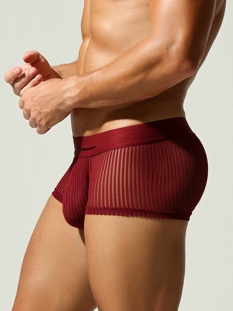 3 Pack Men's Striped Mesh Trunks with Comfort Pouch
