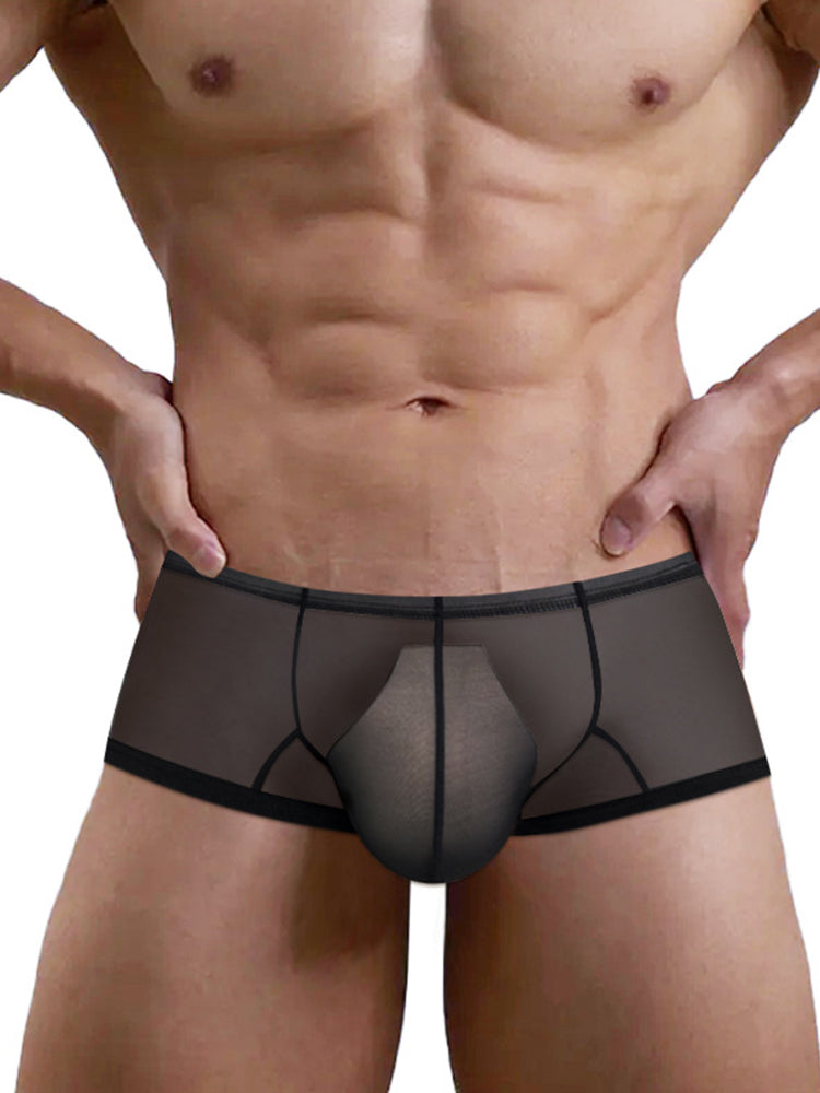 Men's Breathable Sheer Elegance Quick-Dry Ultra-Soft Trunks