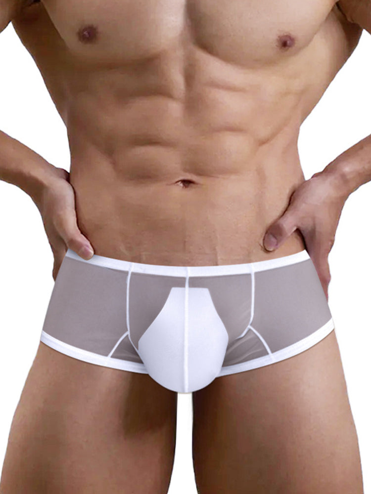 Men's Breathable Sheer Elegance Quick-Dry Ultra-Soft Trunks