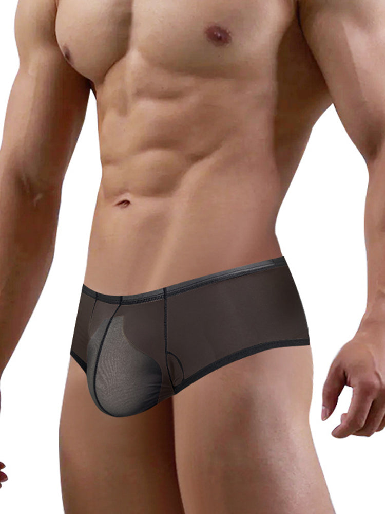 Men's Breathable Sheer Elegance Quick-Dry Ultra-Soft Trunks