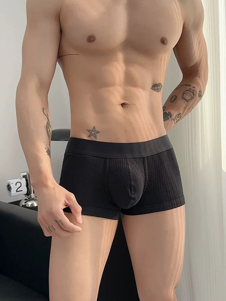2 Pack Men's Ultra-Soft Premium Pure Cotton Comfy Waistband Seamless Trunks