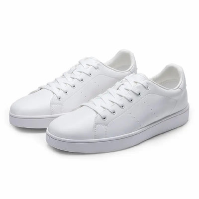Men's Classic Casual Shoes